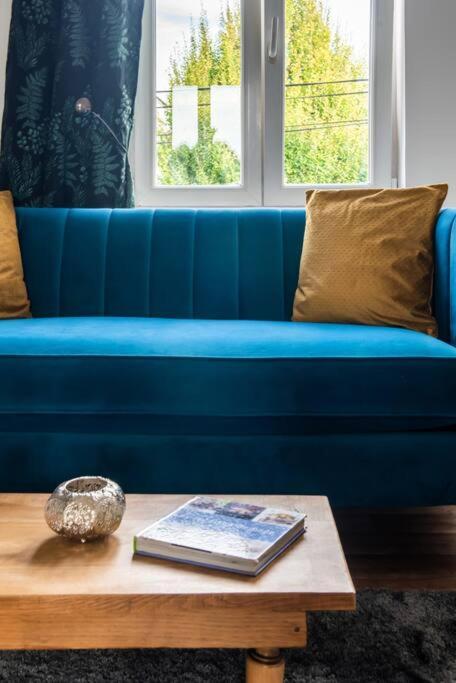 Lumineux Et Cozy A Lomme Apartment